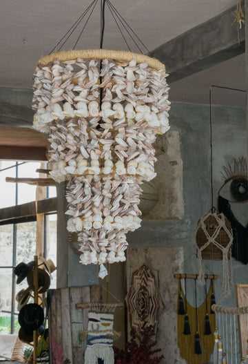 SHELL LAMP